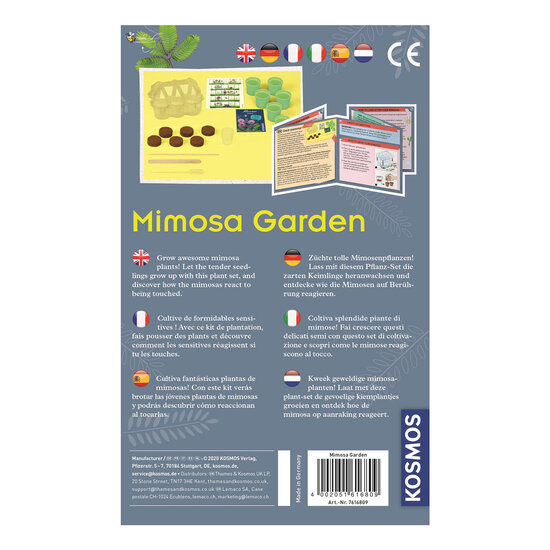 Kosmos Mimosa Planten Kweken