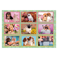 Clementoni Legpuzzel Super Color Puppies Collage, 180st.