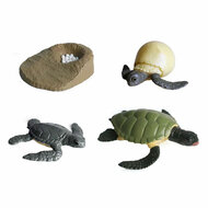 Levenscyclus Schildpad Speelfiguren Set